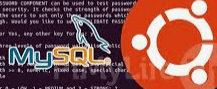 MySQL – Install(5.7) and Upgrade to (8.0.31) in Ubuntu&nbsp;18.*